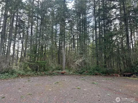 12918 E 101st Street Ct, Anderson Island, WA 98303