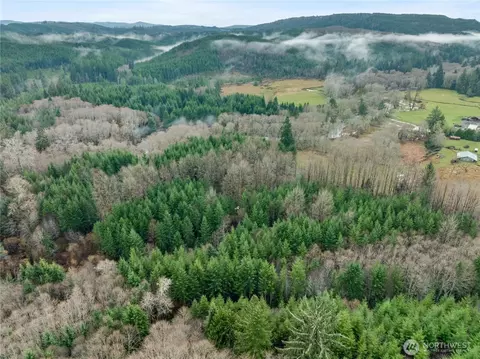 0 0 Fall River Rd, Cosmopolis, WA 98537 photo 5
