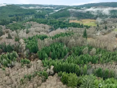 0 0 Fall River Rd, Cosmopolis, WA 98537 photo 6