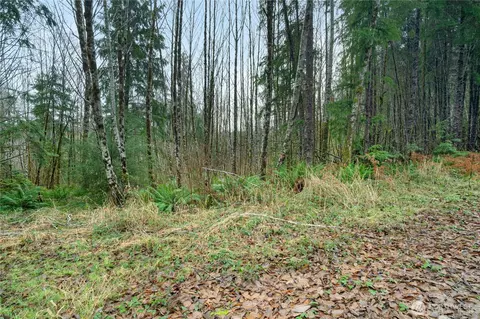 0 0 Fall River Rd, Cosmopolis, WA 98537 photo 10