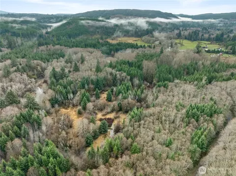 0 0 Fall River Rd, Cosmopolis, WA 98537 photo 8