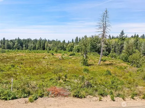0 SE Tr 3 Se Wellswood Way, Shelton, WA 98584