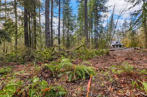 55011 315th Ave E, Ashford, WA 98304