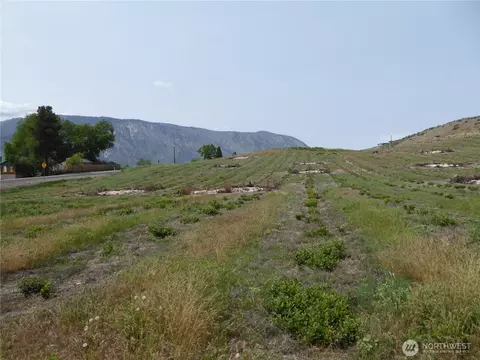 5 Roses View Ln, Manson, WA 98831