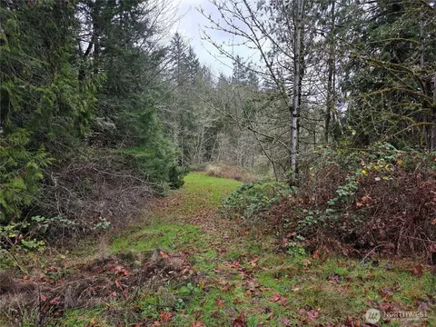 0 Silver Cv, Silverlake, WA 98645