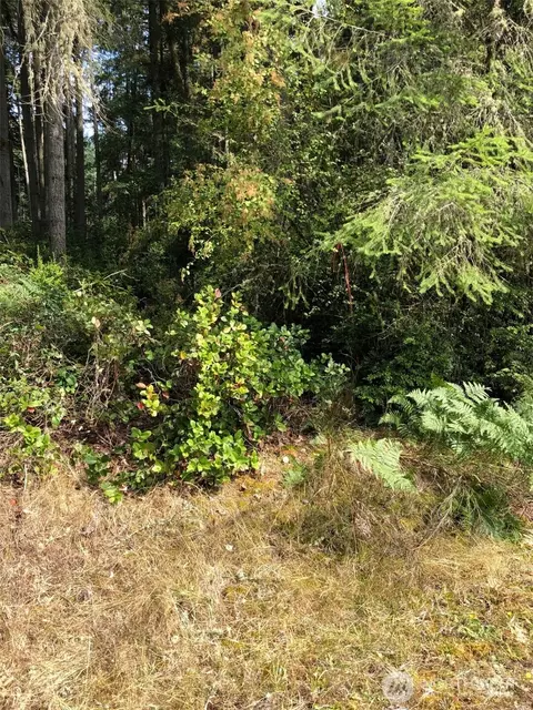 11419 Leschi Cir, Anderson Island, WA 98303