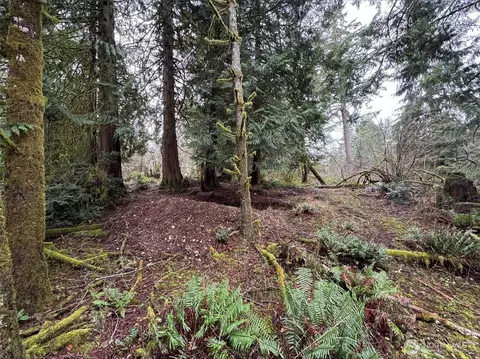 10110 Selma Cir, Anderson Island, WA 98303