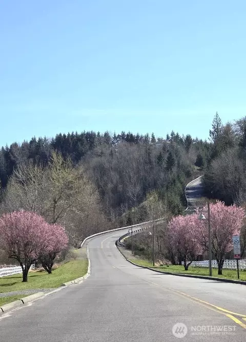 Other - 20702 190th Ave E, Orting, WA 98360 photo 9 of 9