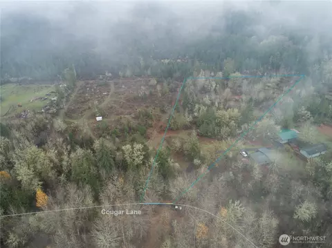 15 X Cougar Ln, Toledo, WA 98591
