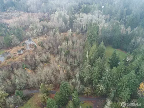 12 X Cougar Ln, Toledo, WA 98591