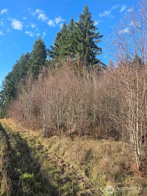 0 Clinton Rd, Chehalis, WA 98532