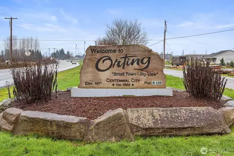 View/Area - 121 Van Scoyoc Ave SW, Orting, WA 98360 photo 9 of 9