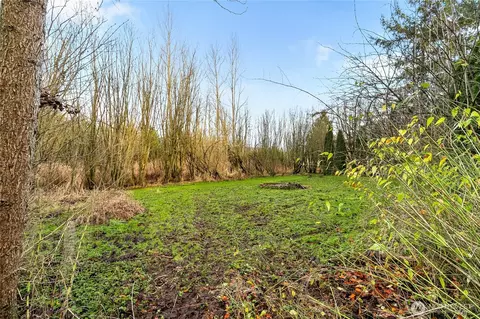 7406 Oat Coles Rd, Everson, WA 98247 photo 34