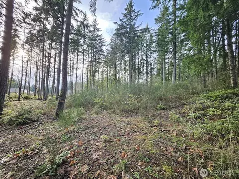 1906 NE Paulson Rd, Poulsbo, WA 98370