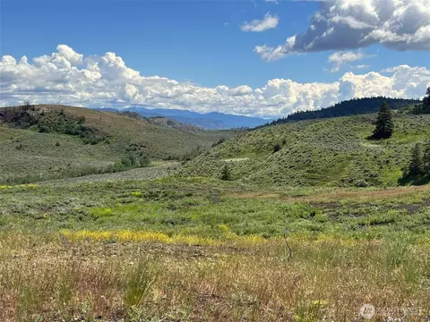 0 Tbd Ellemeham Mountain Rd, Oroville, WA 98844