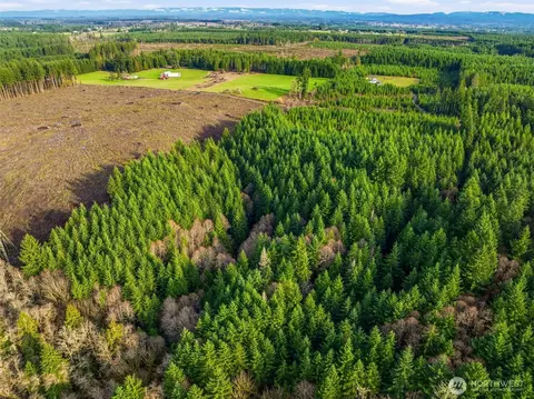 0 Na Nikula Rd, Winlock, WA 98596 photo 5