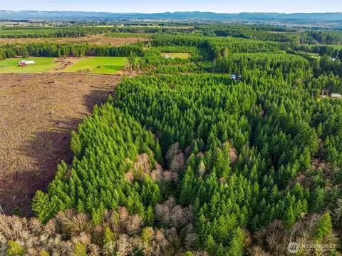 0 Na Nikula Rd, Winlock, WA 98596 photo 6