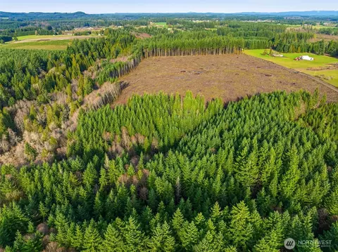 0 Na Nikula Rd, Winlock, WA 98596 photo 4