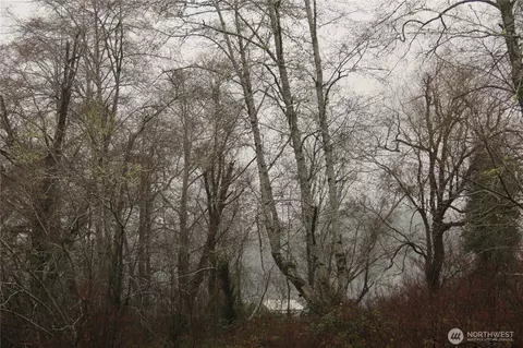 0 Godfrey St, Raymond, WA 98586