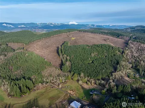 50 X Winston Creek Rd, Mossyrock, WA 98564