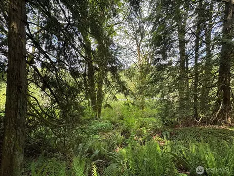 16113 NE 124th St, Redmond, WA 98052