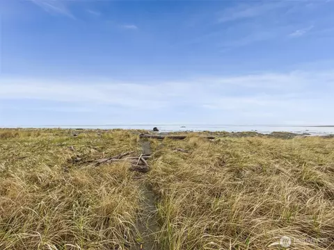 View/Area - 50 Diamond Dr, Pacific Beach, WA 98571 photo 2 of 2