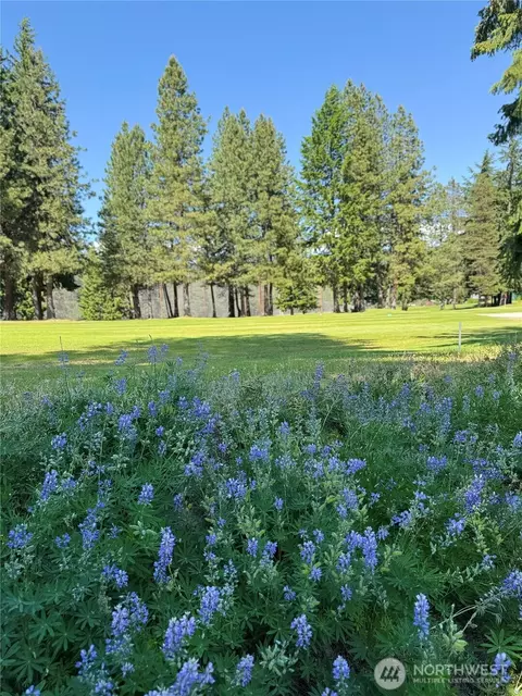 20637 Miracle Mile, Leavenworth, WA 98826