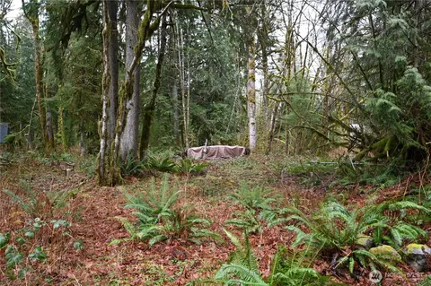 63645 NE 190th St, Baring, WA 98224