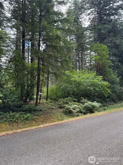 9708 Otso Point Rd, Anderson Island, WA 98303