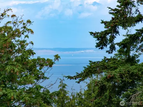 View/Area - 412 Doe Run Rd, Sequim, WA 98382 photo 3 of 4