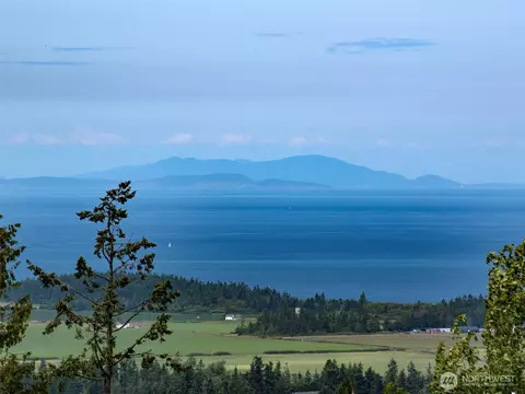 View/Area - 412 Doe Run Rd, Sequim, WA 98382 photo 4 of 4