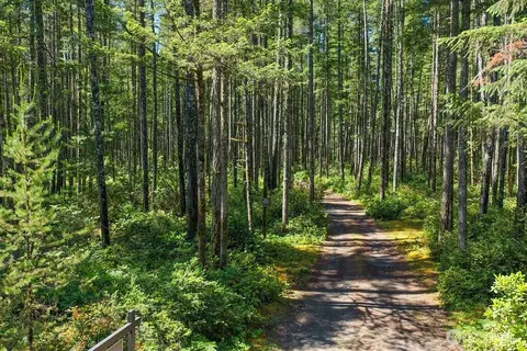 0 NE Tr42 Ne Sides Way, Belfair, WA 98528