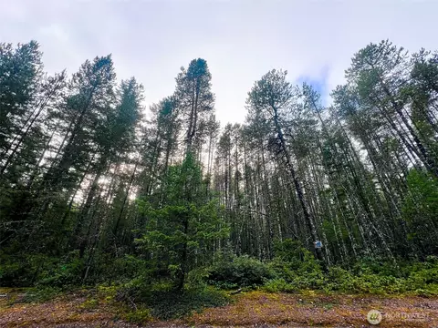 0 NE Tr42 Ne Sides Way, Belfair, WA 98528