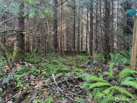 233 Shy Bear Rd, Toutle, WA 98649