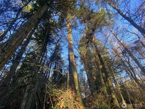 999 White St, Port Hadlock, WA 98339