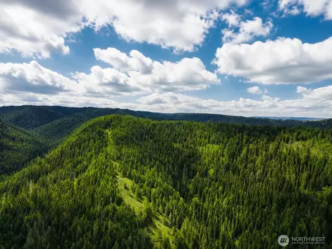 30 Acres Off Biscuit Rdg, Waitsburg, WA 99361