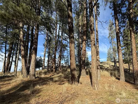 0 Adams St, Republic, WA 99166