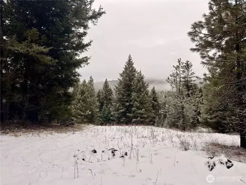 25 Miners Ridge Rd, Oroville, WA 98844