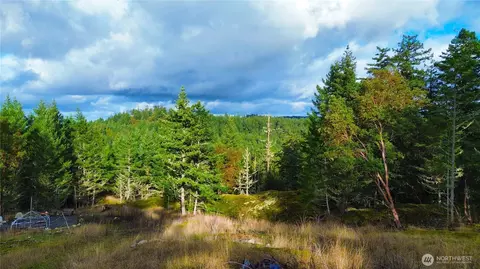 705 Mt Dallas Rd, Friday Harbor, WA 98250