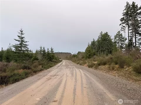 1 Nn West California Rd, Shelton, WA 98584