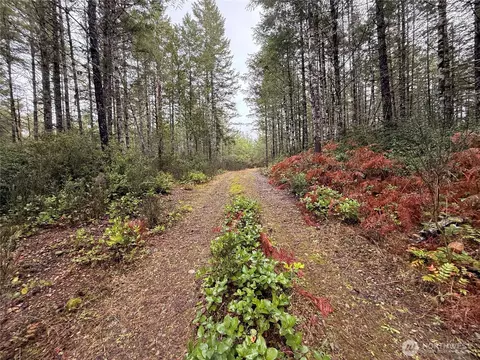10 E Nn E Shetland Rd, Shelton, WA 98584
