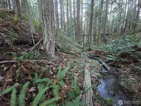 Other - 276261 Highway 101, Sequim, WA 98382 photo 5 of 16