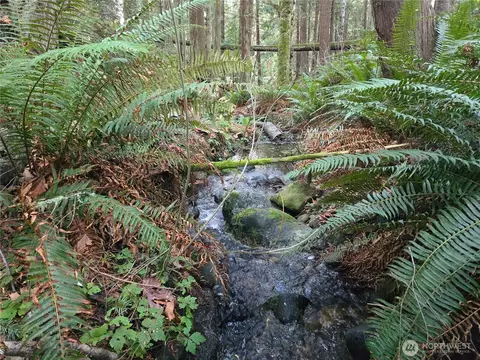 Other - 276261 Highway 101, Sequim, WA 98382 photo 1 of 16