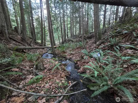 Other - 276261 Highway 101, Sequim, WA 98382 photo 15 of 16