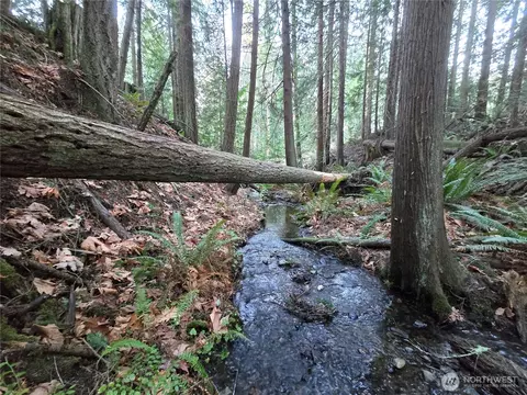 Other - 276261 Highway 101, Sequim, WA 98382 photo 2 of 16