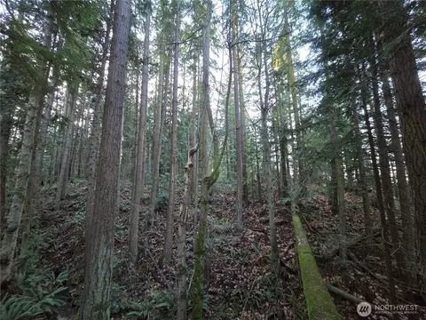 Other - 276261 Highway 101, Sequim, WA 98382 photo 13 of 16