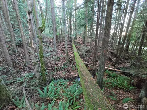 Other - 276261 Highway 101, Sequim, WA 98382 photo 6 of 16