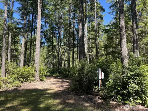 200 E Windstar Rd, Union, WA 98592 photo 23