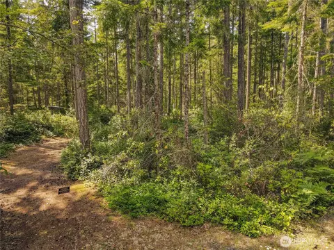 200 E Windstar Rd, Union, WA 98592 photo 16