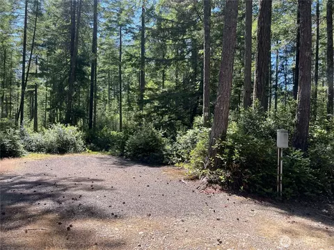200 E Windstar Rd, Union, WA 98592 photo 20